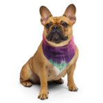 Dog wearing the Simple Mint and Berry tie-dye bandana