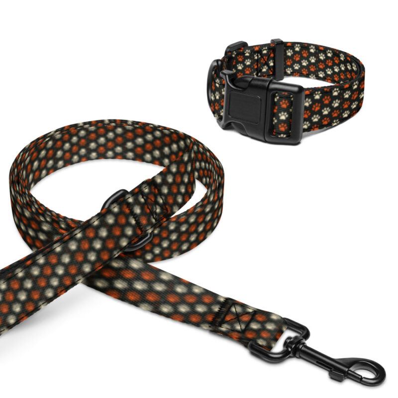 Bold Paws collar and leash set flat mockup